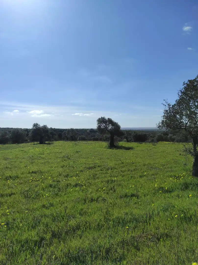 Terreni e lotti in vendita a Beas, imagen 33