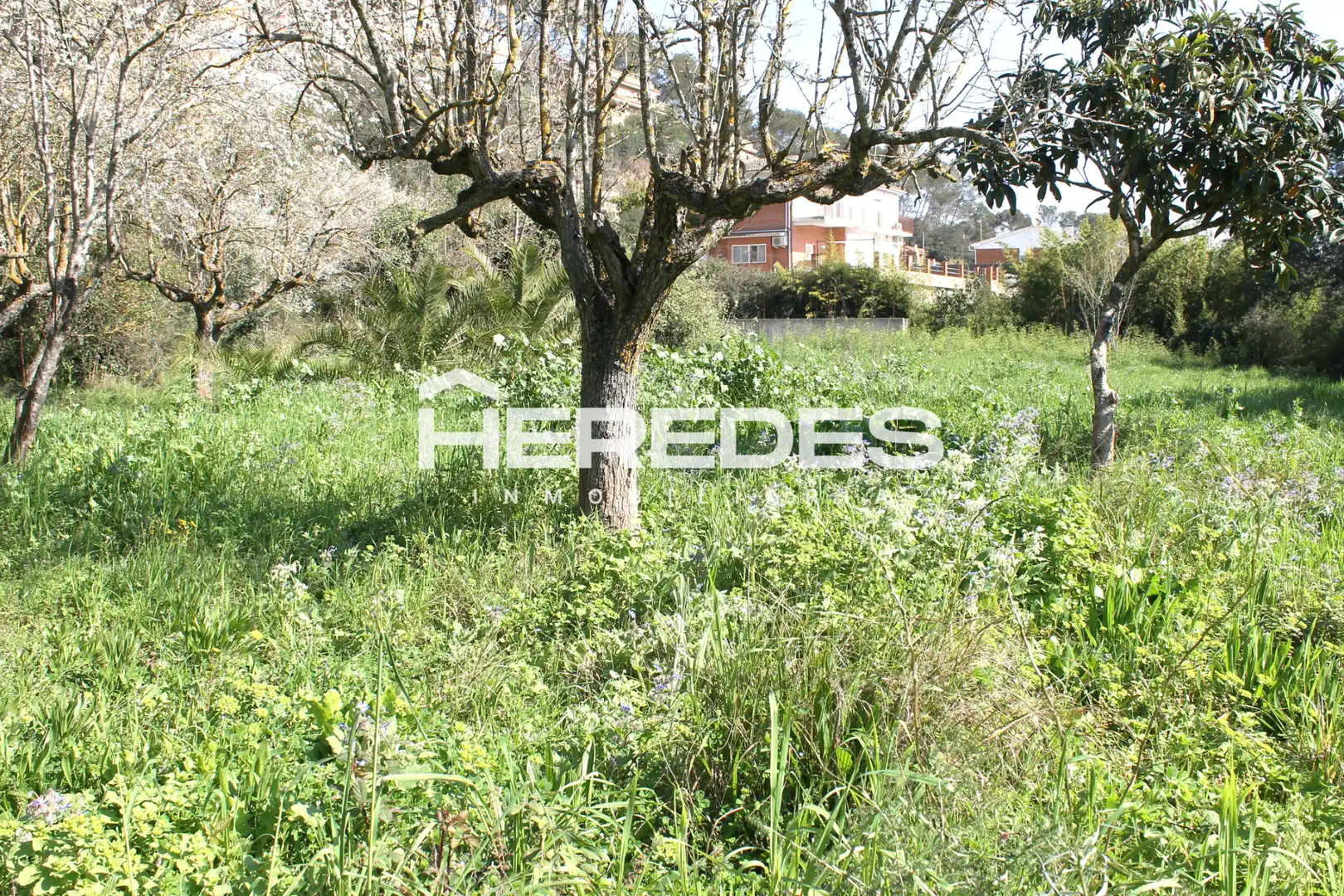 Casa con jardín en venta en Torrelles de Llobregat, imagen 29