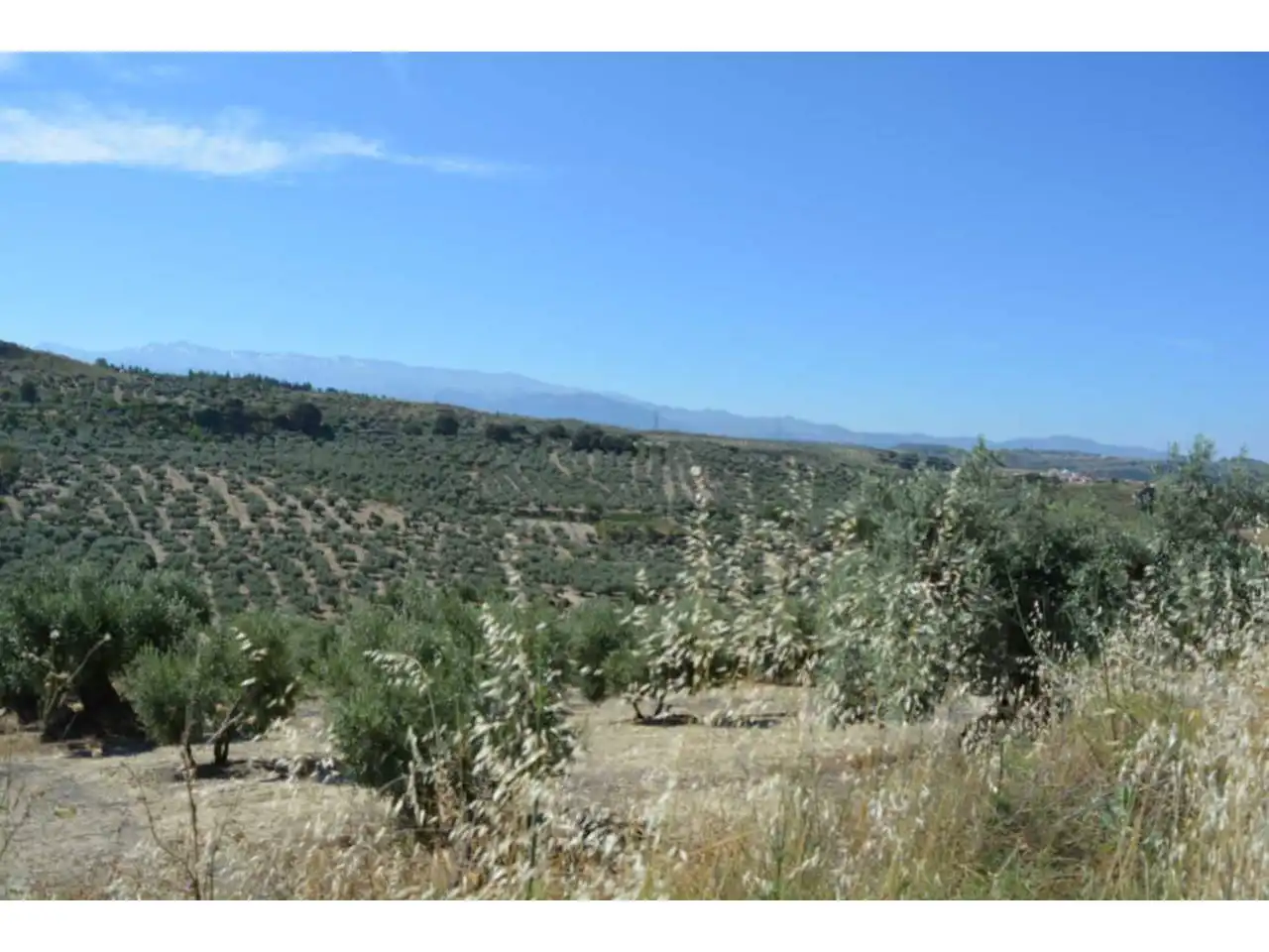 Lands and plots for sale in Plaza Iglesia 1, imagen 14