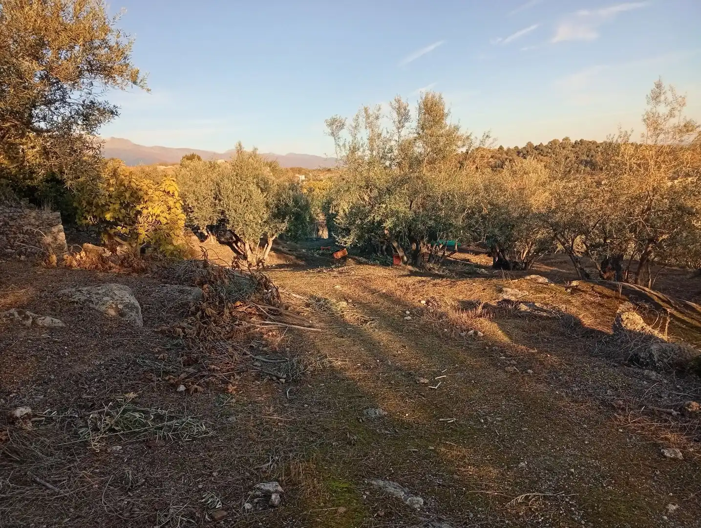 Terreni e lotti in vendita a Villanueva de la Vera, imagen 13