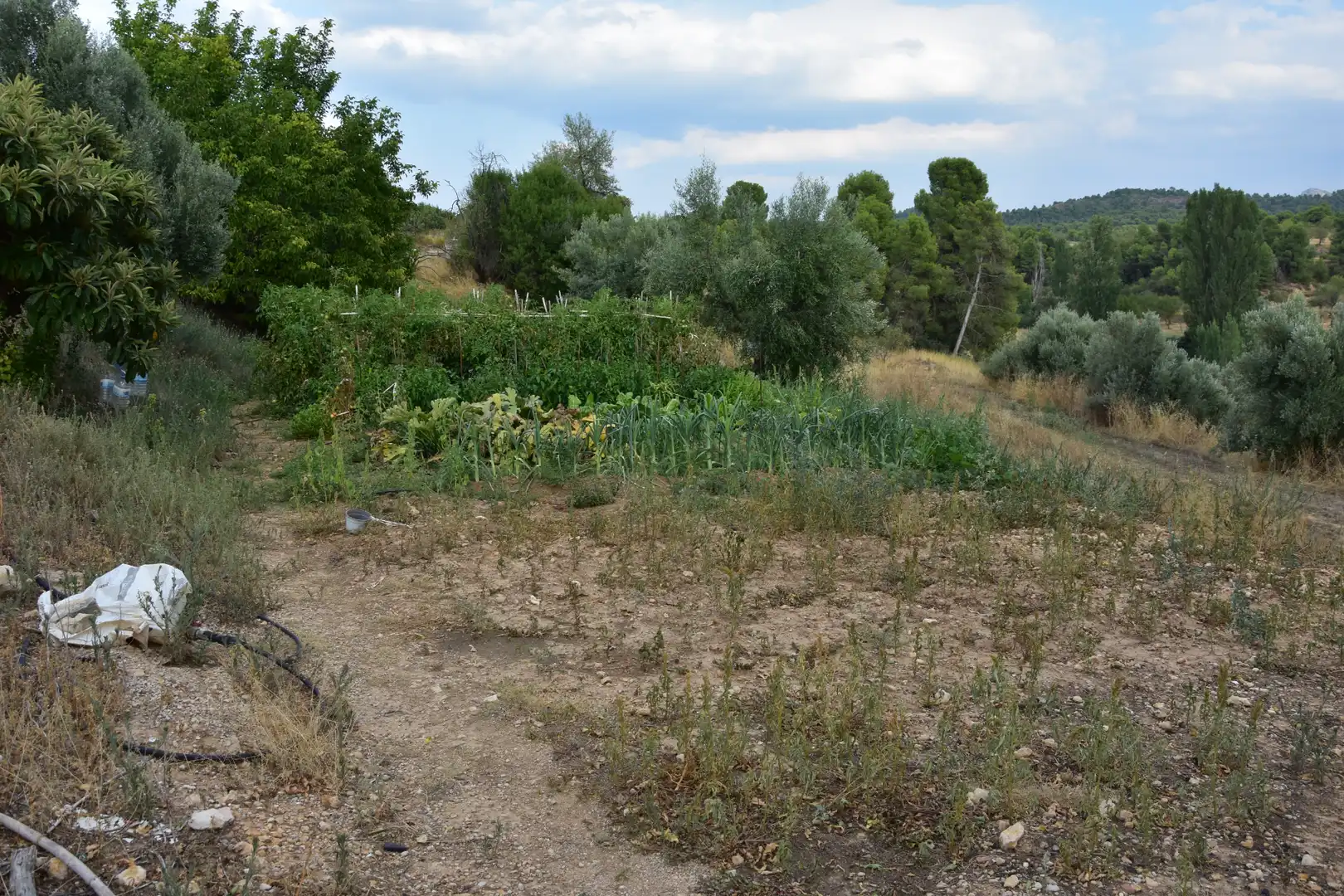 Terreni e lotti in vendita a Valderrobres, imagen 4