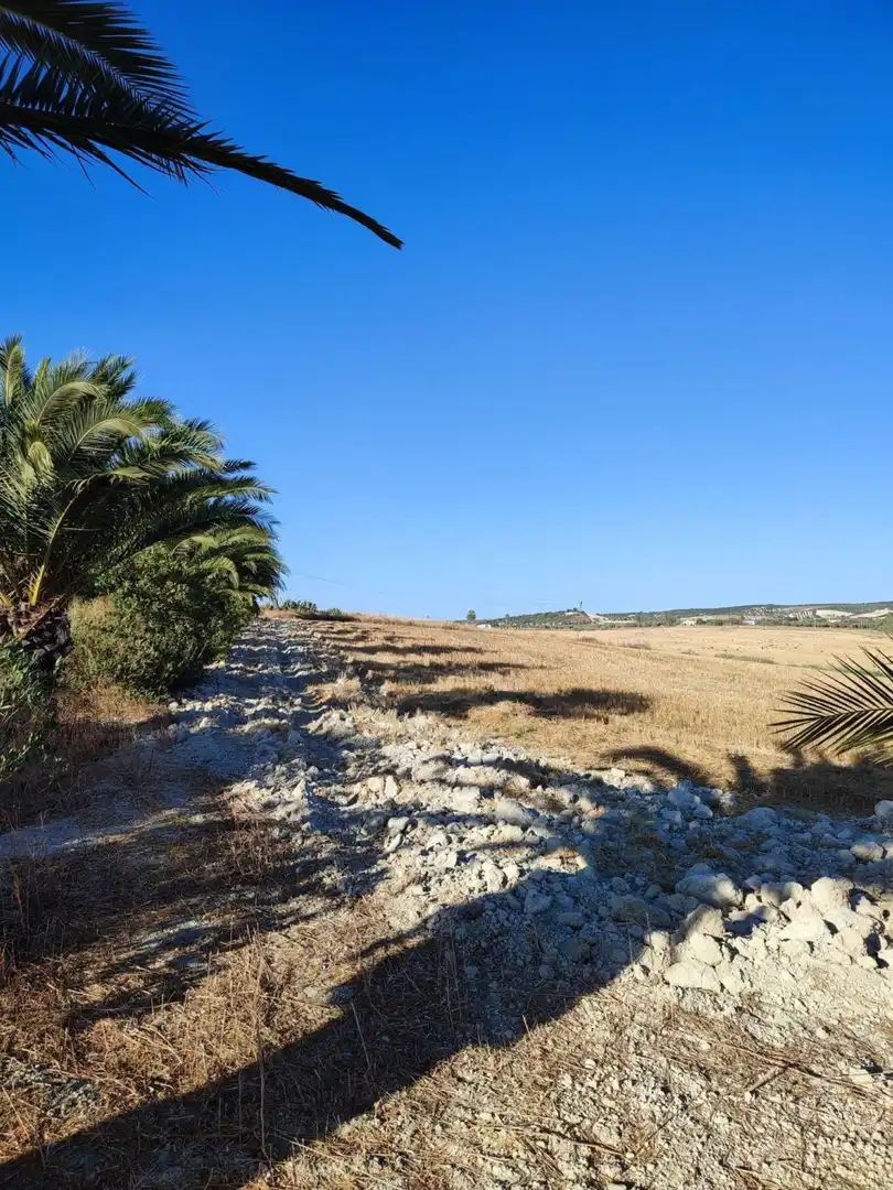 Terreno residencial en venta en Arcos de la Frontera, imagen 23
