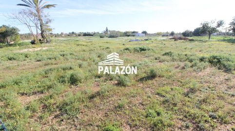 Parcela rústica en venta en Crevillente Alicante, imatge 2