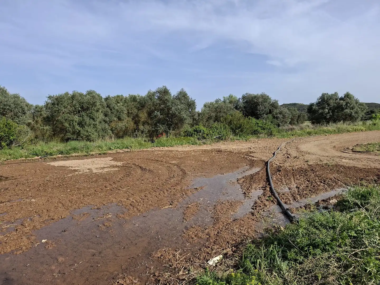 Finca rústica en venda en Caspe