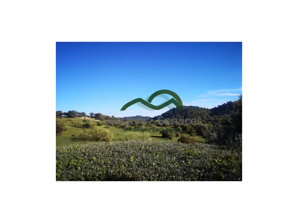 House for sale in Gaucín, imagen 58