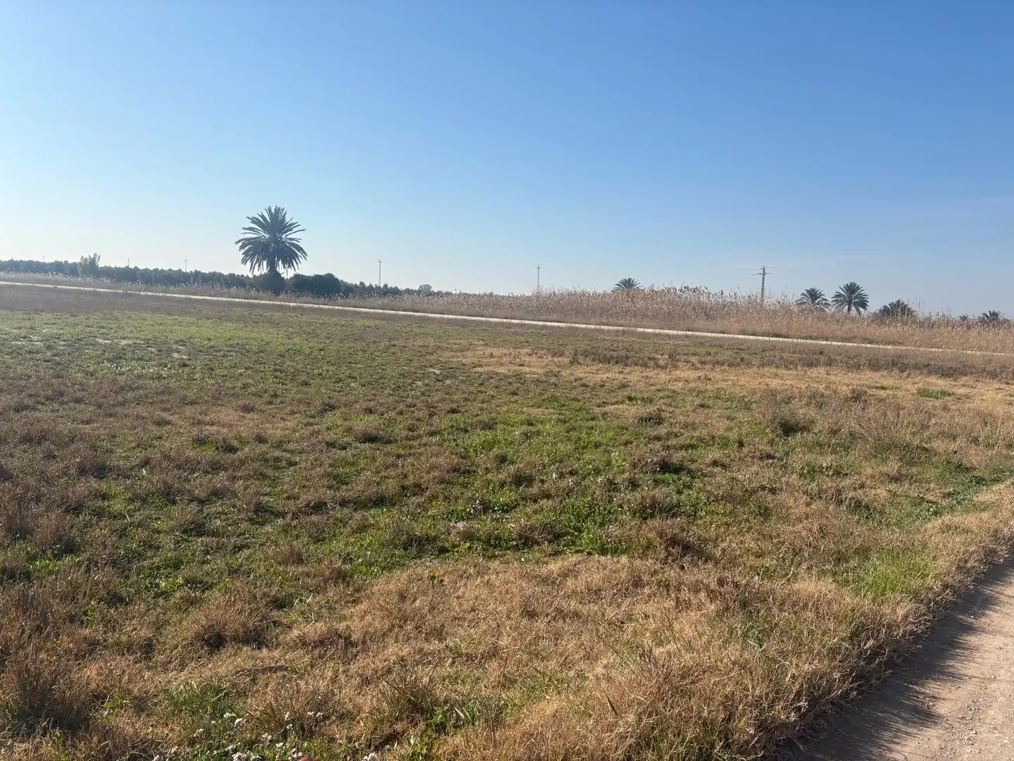Terrain rustique à vendre à La Foia - Daimés - Asprella, imagen 10