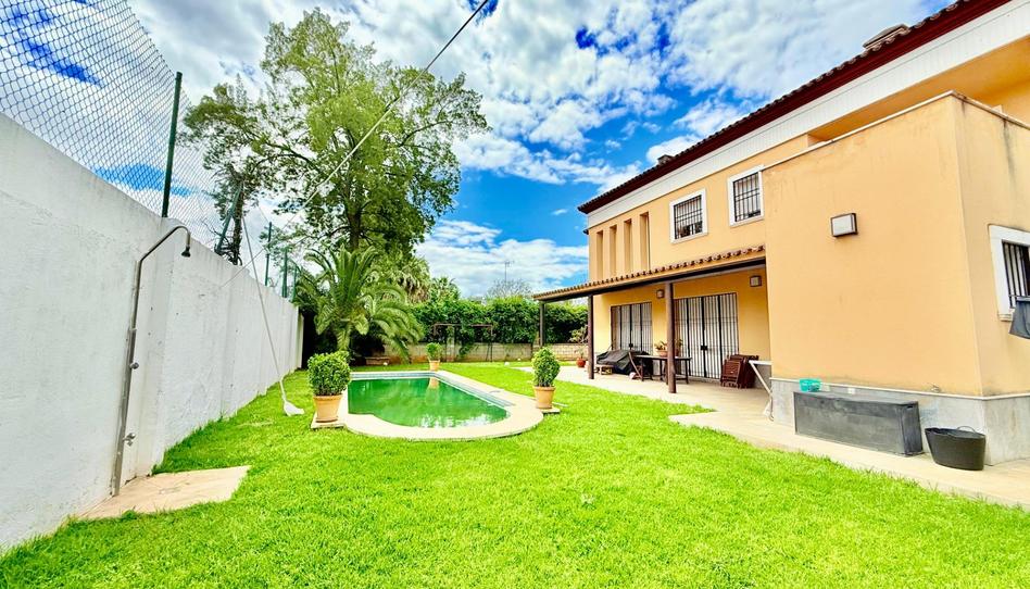 Photo 1 of House or chalet for sale in Calle Chipiona, La Hacienda - Nueva Andalucía, Sevilla