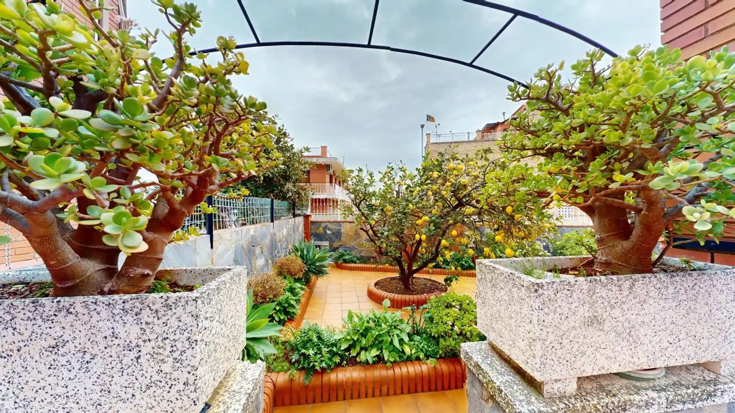 Terrassa de Casa o xalet en venda en Viladecans amb Jardí privat i Terrassa
