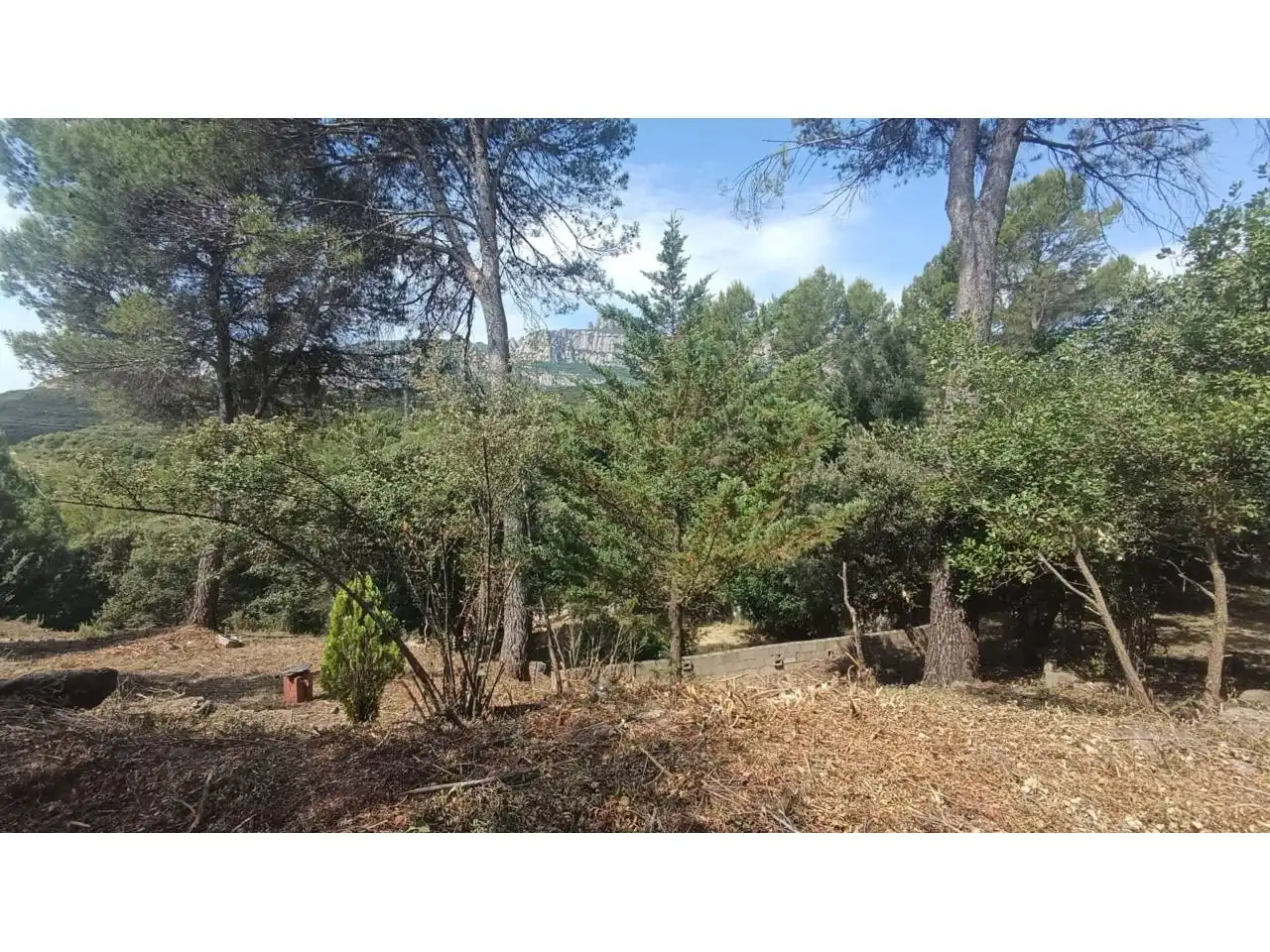 Rural land for sale in Vacarisses, imagen 28
