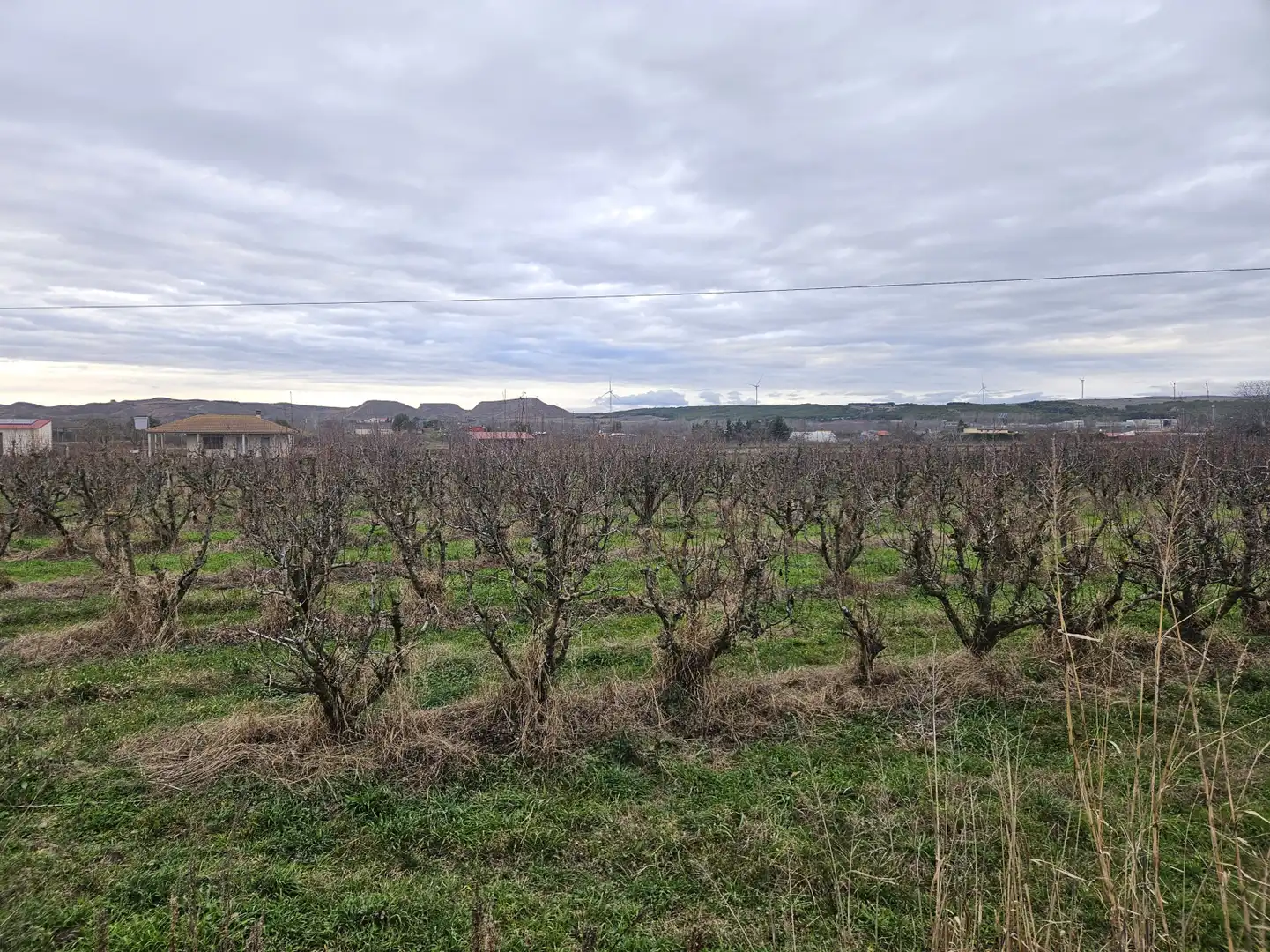 Land for sale in Lodosa