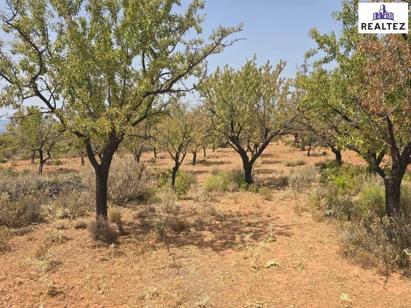 Terrain rustique à vendre à Alcolea, imagen 5