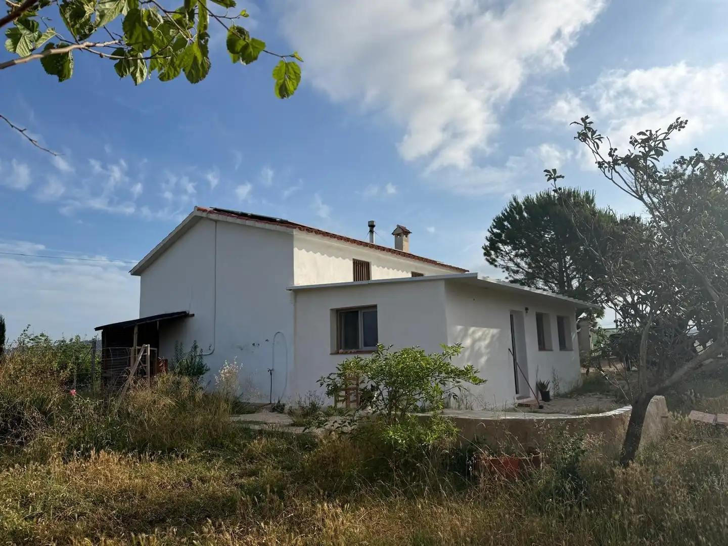 Vista exterior de Casa o xalet en venda en Amposta