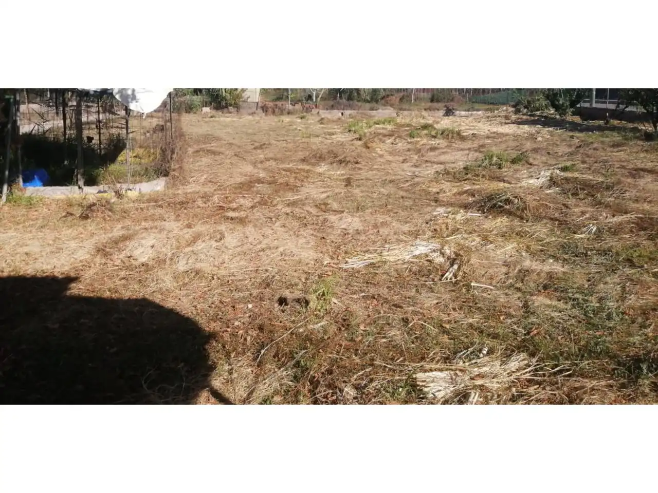 Chalet con piscina en venta en Este, imagen 14
