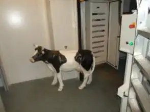 Gewerbefläche zum Verkauf in Calle Etxaburua 9, imagen 21