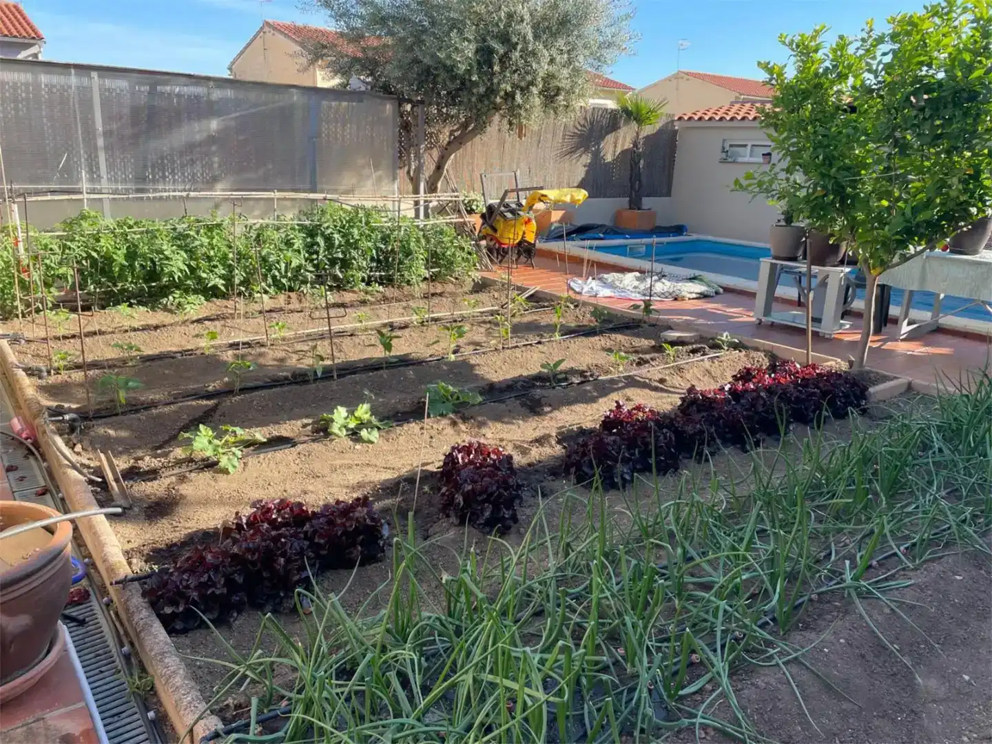 Garten von Erdgeschoss zum Verkauf in Plasencia mit Klimaanlage und Schwimmbad