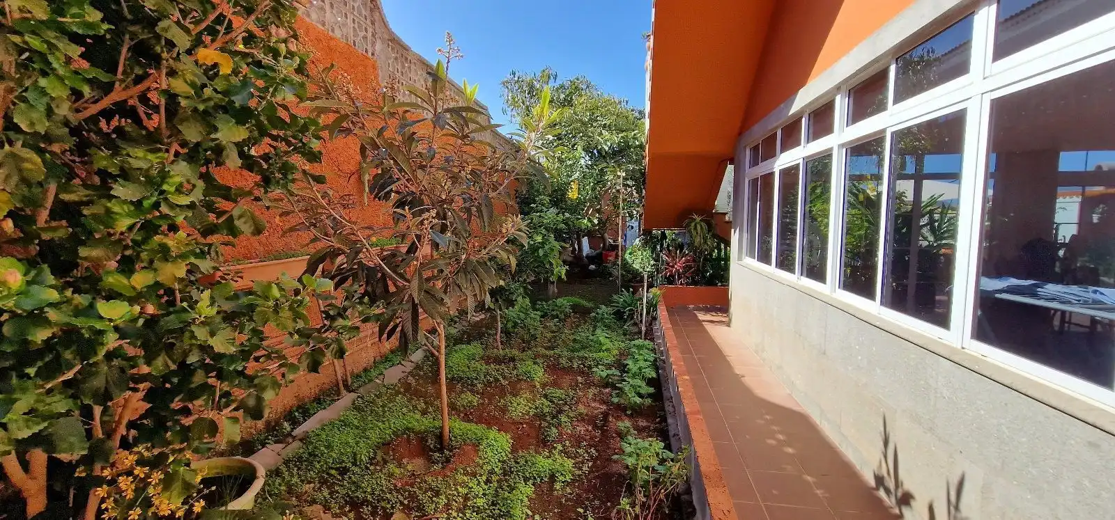Jardín de Casa o chalet en venta en Firgas con Jardín privado, Piscina y Amueblado