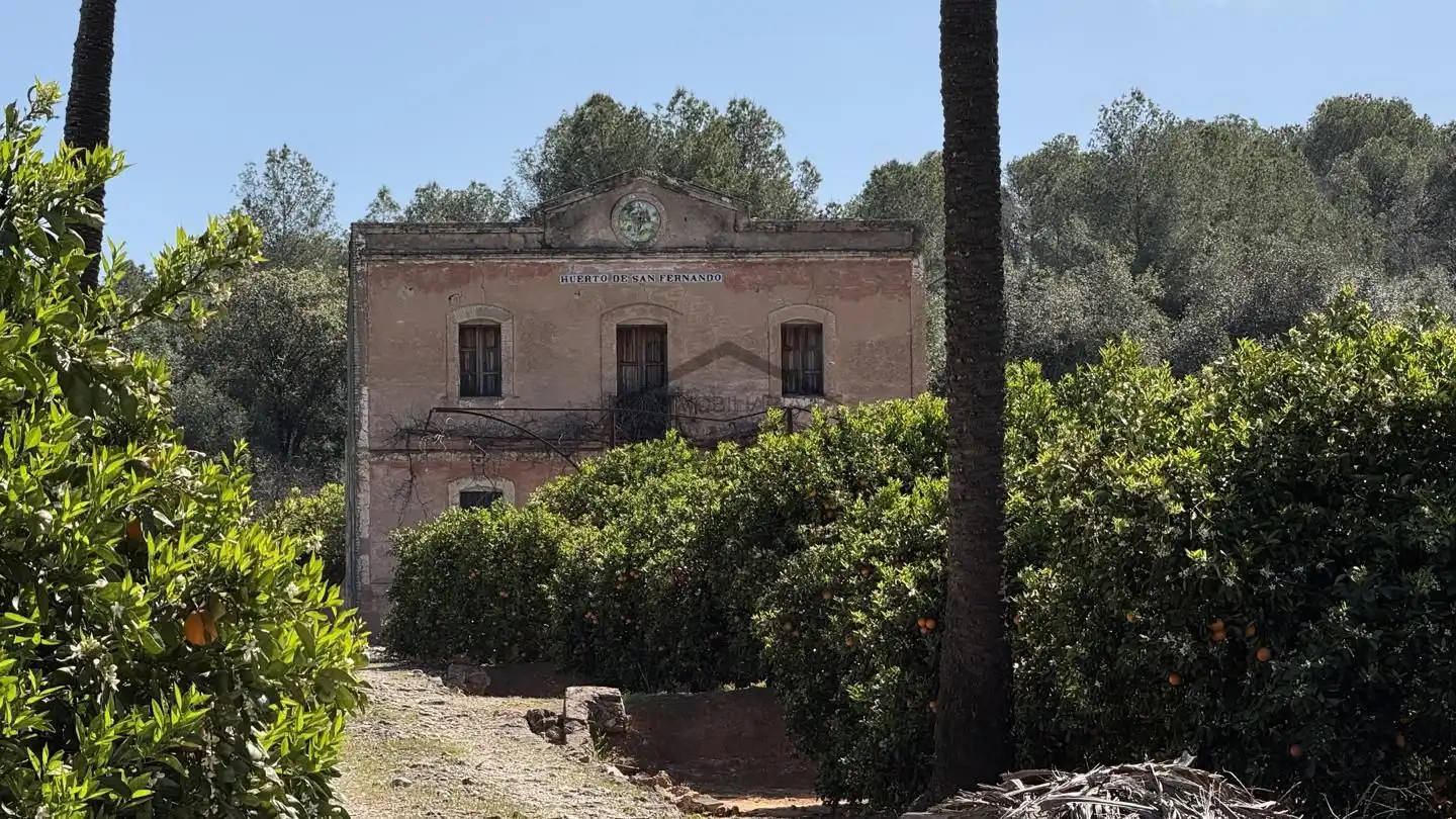 Landhaus zum Verkauf in Carcaixent, imagen 2