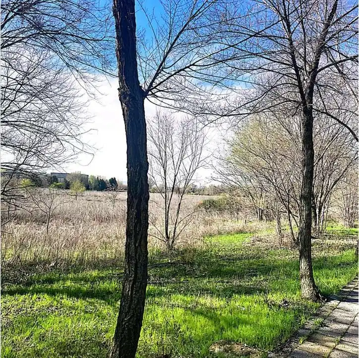 Residential land for sale in SP.P.P.12, imagen 6