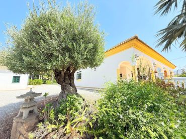 Xalet amb jardí en venda a algarrobo LAS ARENAS