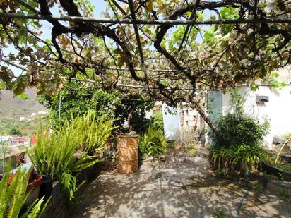 Jardí de Casa o xalet en venda en Vega de San Mateo amb Terrassa