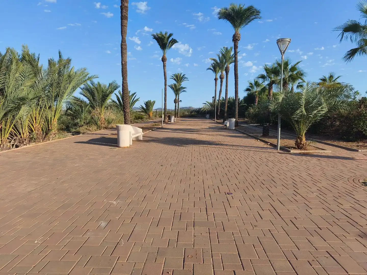Residential land for sale in Ricote, imagen 7