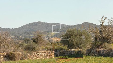 Photo 3 of Country homes for sale in Son Ferriol, Palma de Mallorca