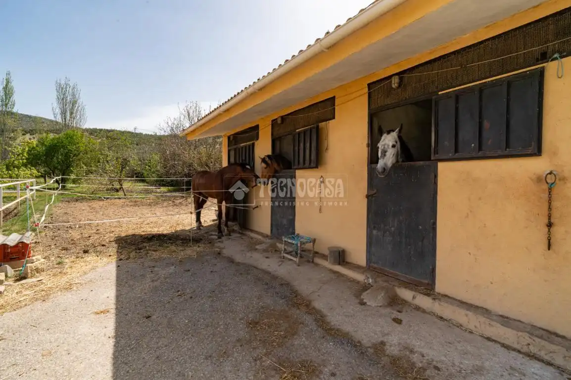 Vista exterior de Finca rústica en venda en Iznalloz