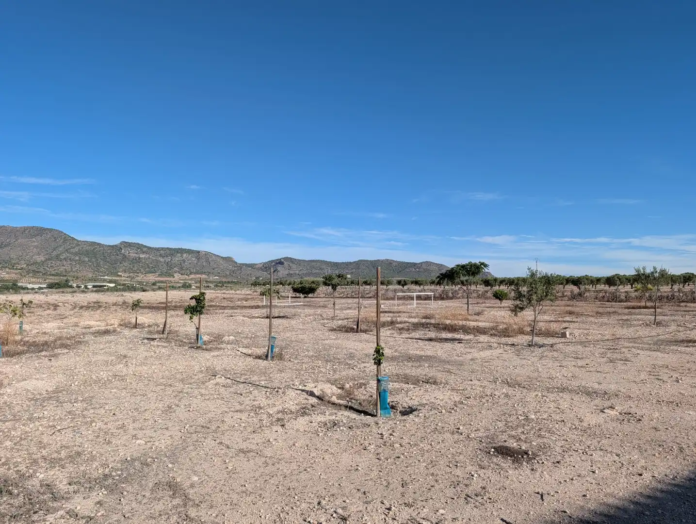 Country house with garden for sale in Salinas, imagen 45