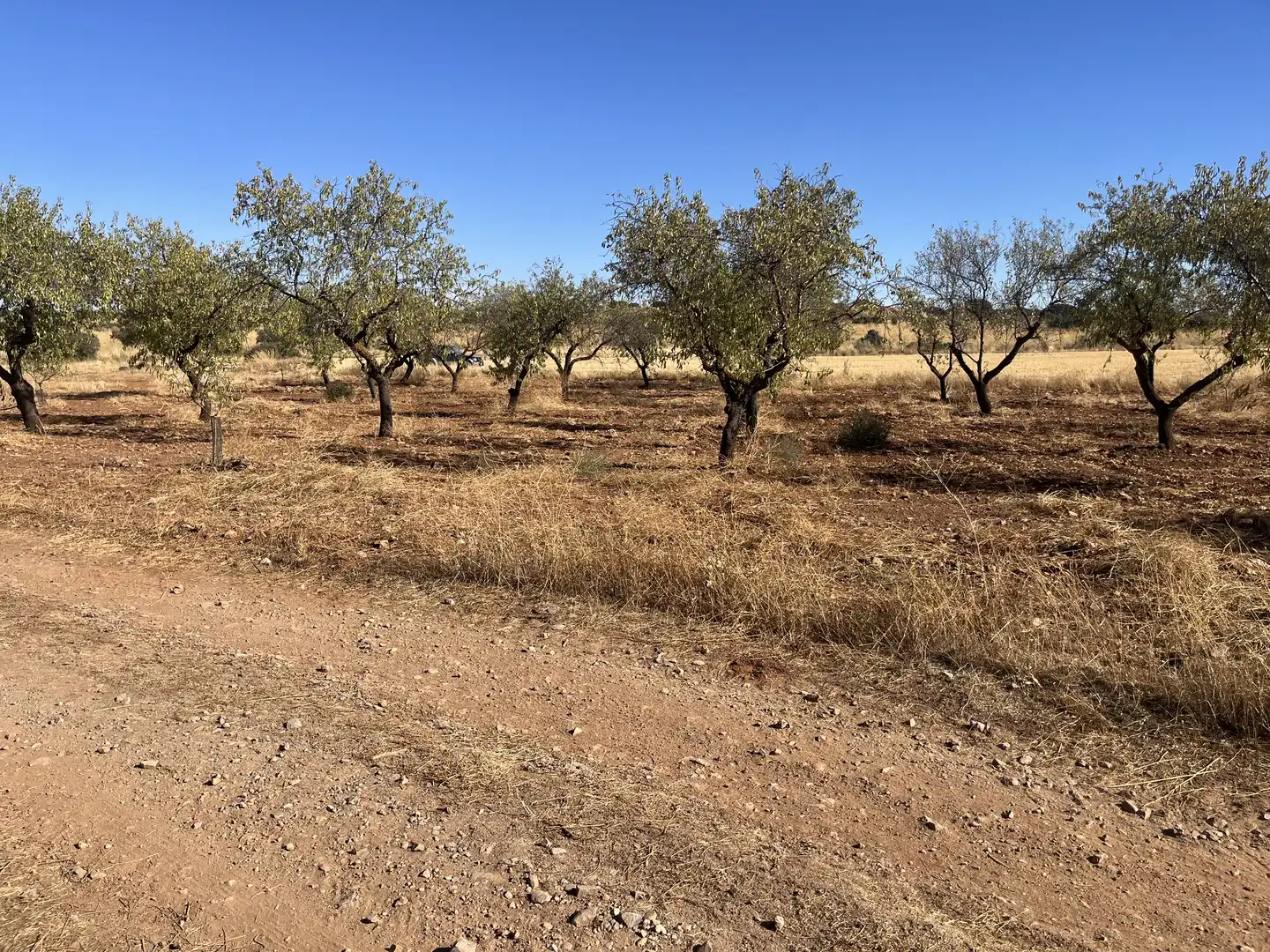 Rustikales Grundstück zum Verkauf in Avenida de Andalucía, imagen 7