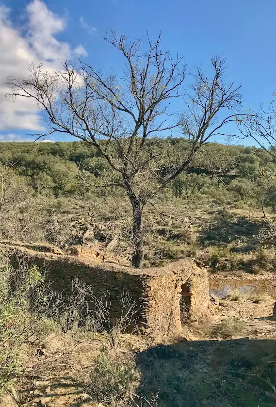 Casa o chalet en venta en Los Navalucillos con Aire acondicionado, Calefacción y Jardín privado