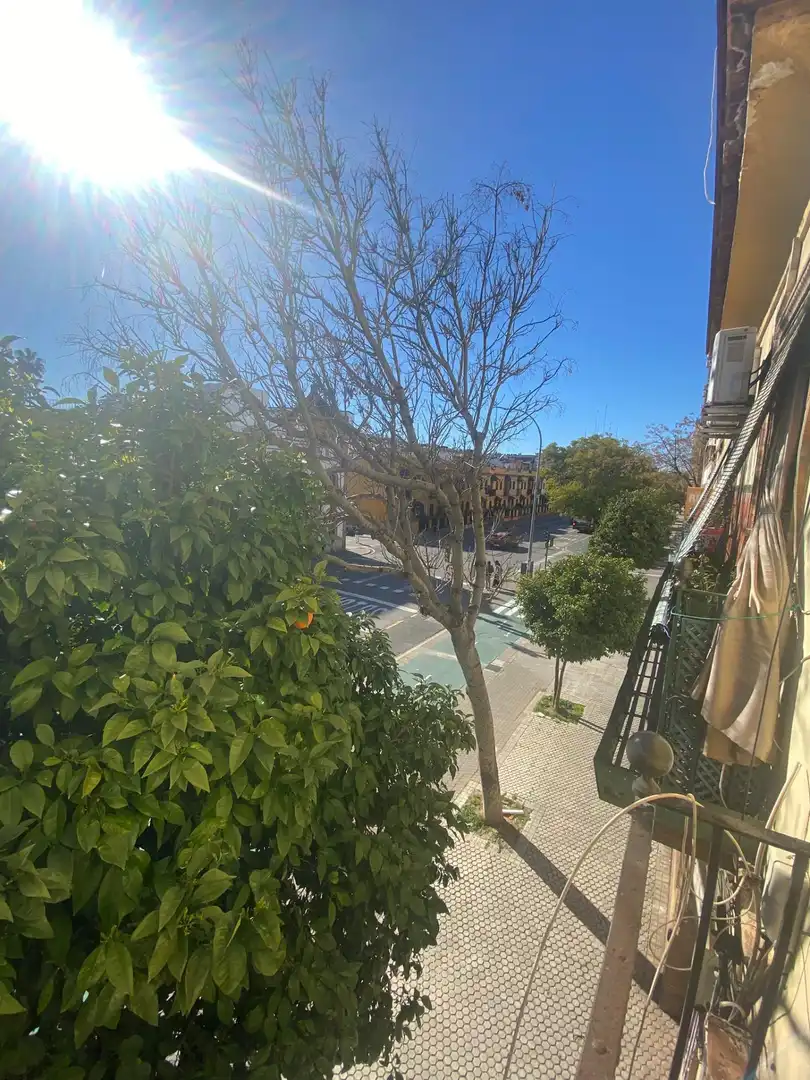 Vista exterior de Pis en venda en Sevilla amb Aire condicionat, Moblat i Balcó