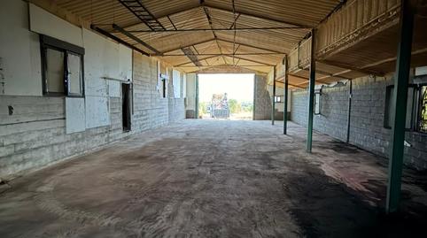 Foto 5 de Terreny en venda a Diseminado Viejo Madrid Cm, 639, El Molar (Madrid), Madrid