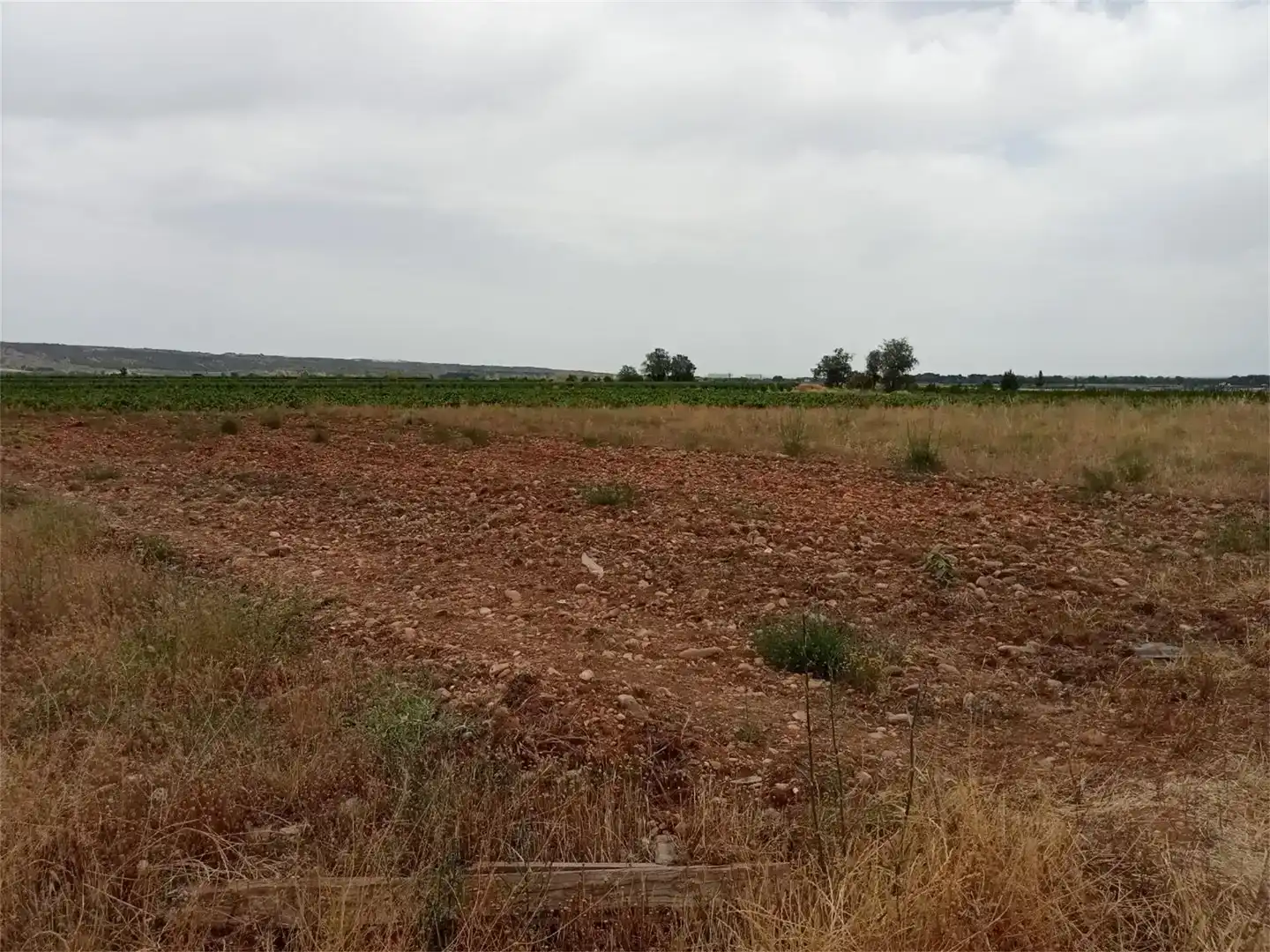 Finca rústica en venda en Calahorra