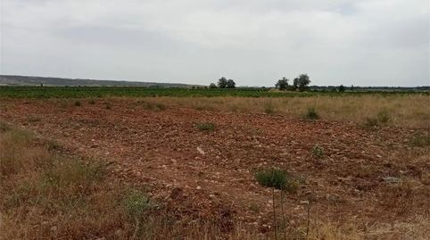Foto 2 de Finca rústica en venda a Calahorra, Calahorra, La Rioja