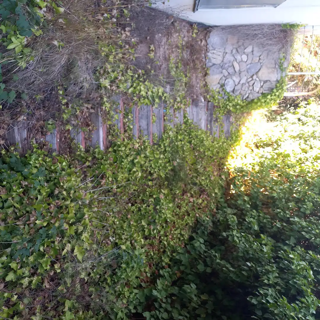 Garden of Houses for sale in Olivella  with Private garden and Terrace