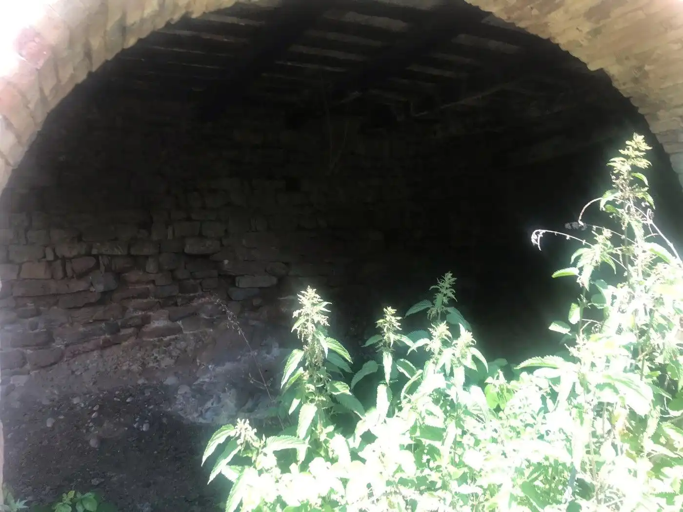 Wohnbaugrundstück zum Verkauf in Borredà, imagen 11