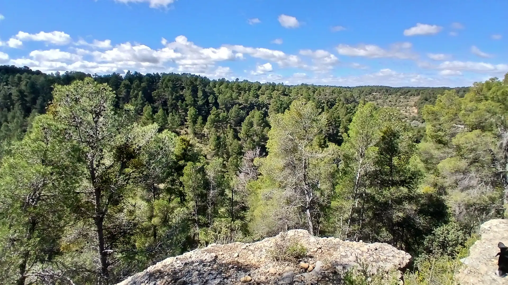 Terreno en venta en Fórnoles