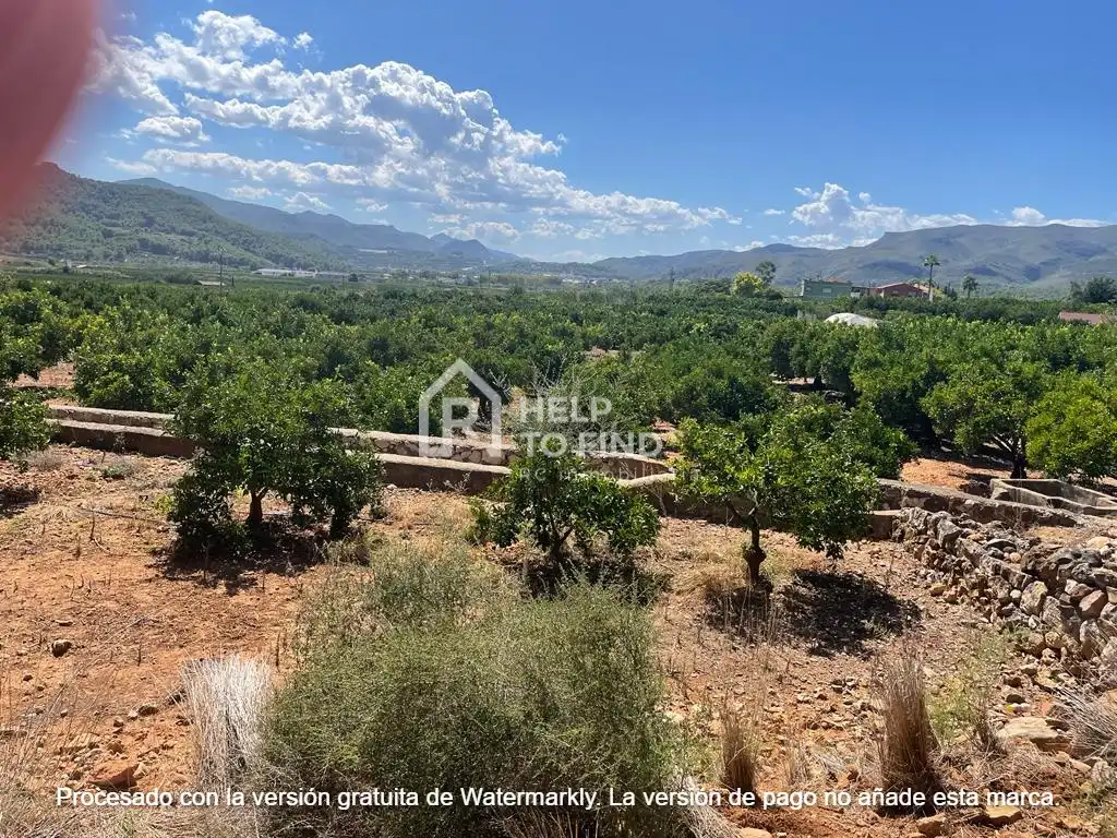 Terreno rústico en venta en Palma de Gandia, imagen 7