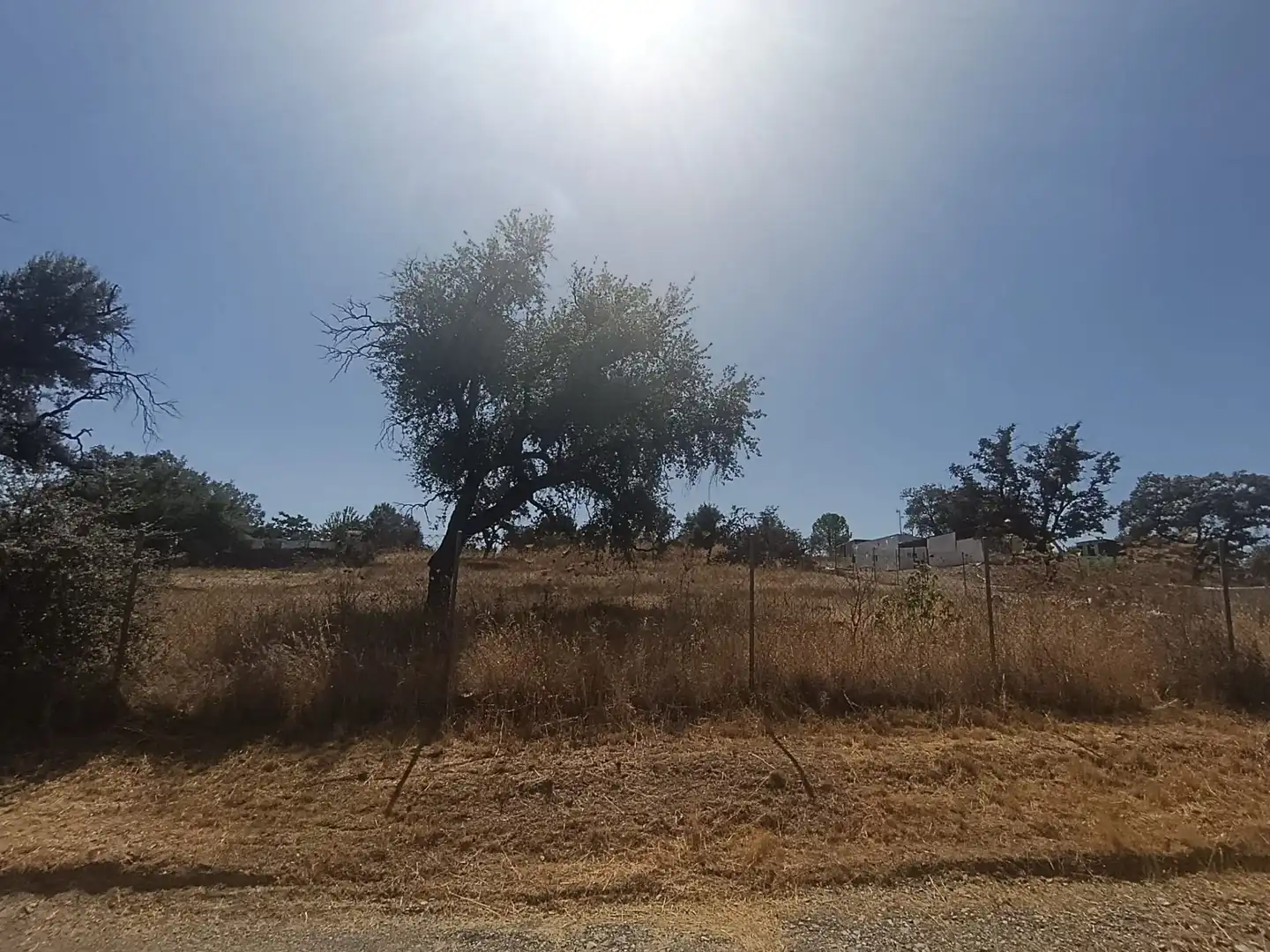 Terreni e lotti in vendita a Castilblanco de los Arroyos, imagen 6