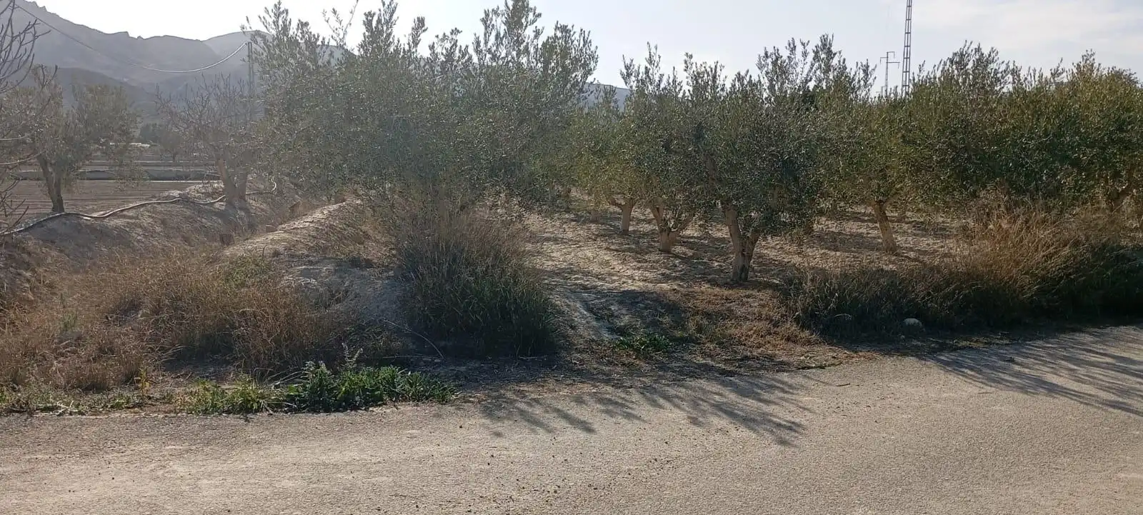 Maison avec jardin à vendre à Mojácar Pueblo, imagen 47
