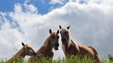 Foto 4 de Casa o chalet en venta en Ribadesella, Asturias