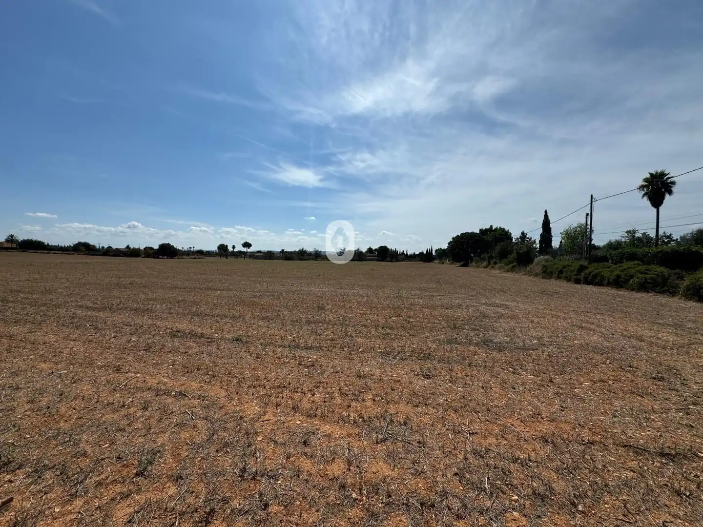 Land for sale in Inca