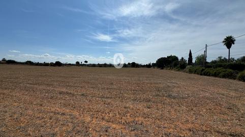 Foto 4 von Grundstücke zum Verkauf in Centro, Inca