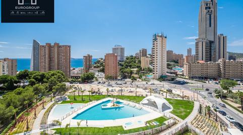 Foto 4 de Apartament de lloguer a Playa Poniente, Alicante