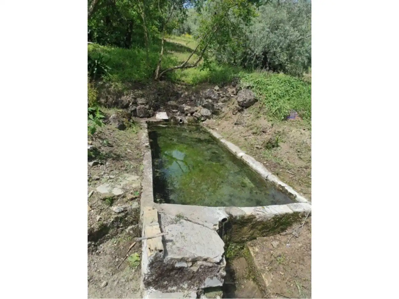 Piscina de Casa o chalet en venta en Rute, Córdoba