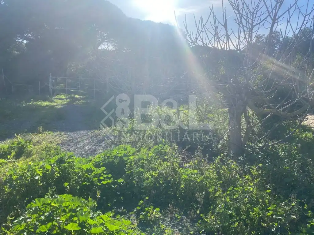 Finca rústica en venta en Gibraleón