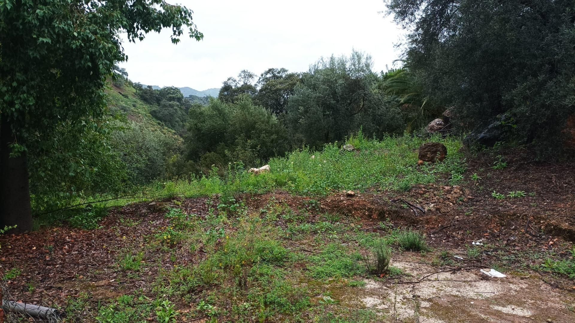 Country house for sale in Comares