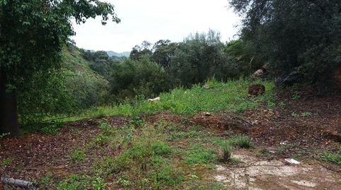 Finca rústica a la venta en Comares