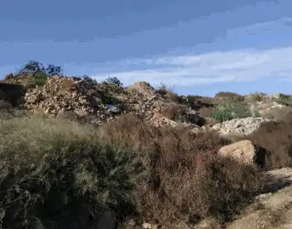 Terreno rústico en venta en Partida La Torreta, imagen 9