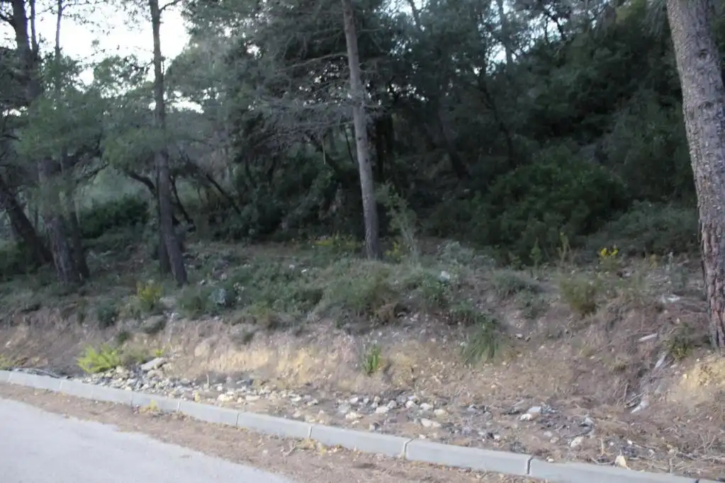 Terreny rústic en venda a ALDEA DE VALLFLOR, imagen 7